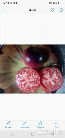 Семена помидор