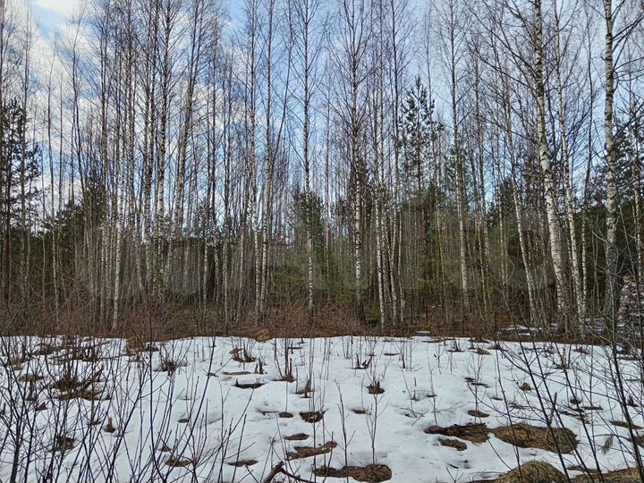 Участок 3,7 га (СНТ, ДНП)