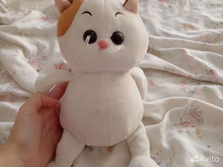 Кошечка лили