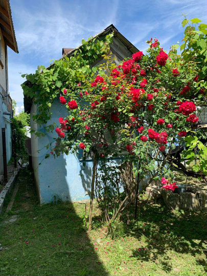 Участок 11 сот. (ИЖС)