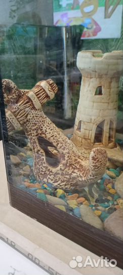 Аквариум 60л