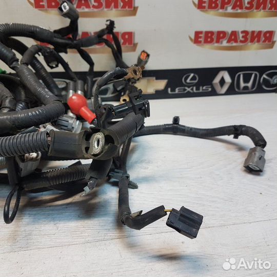 Проводка двс Nissan X-Trail T31 MR20 2010