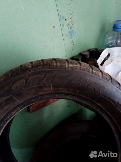 Tigar Sigura Stud 195/55 R14