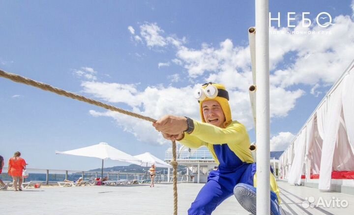 Аниматор на день рождения, шоу программы