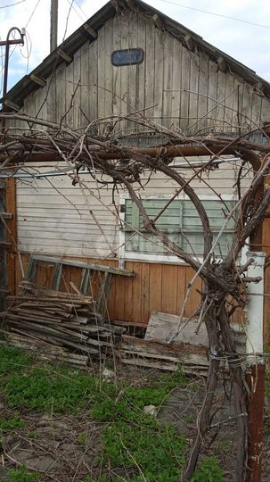 Участок 4 сот. (СНТ, ДНП)