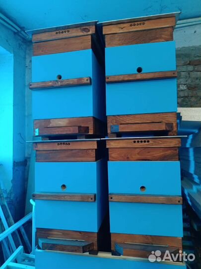 Нуклеус-дадан новый