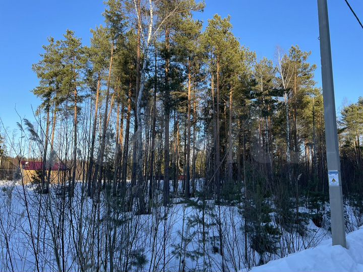 Участок 10 сот. (СНТ, ДНП)