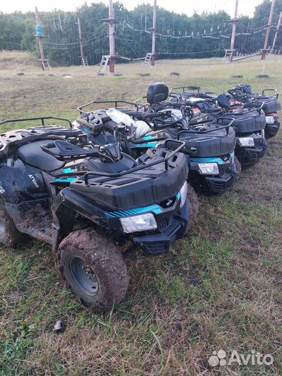 Прокат Квадроциклов