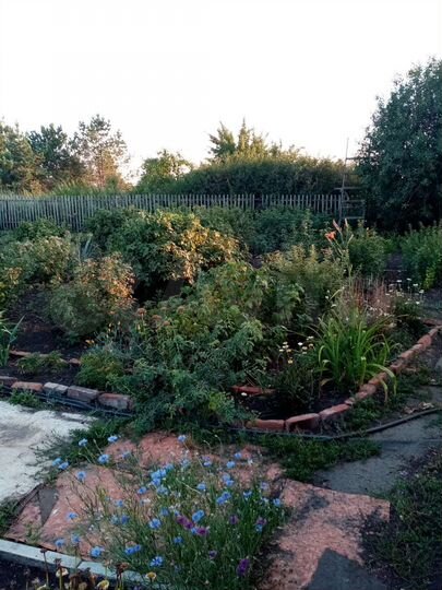 Дача 16 м² на участке 8 сот.