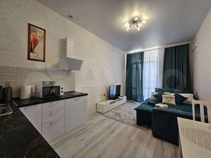 Квартира-студия, 24,2 м², 24/24 эт.