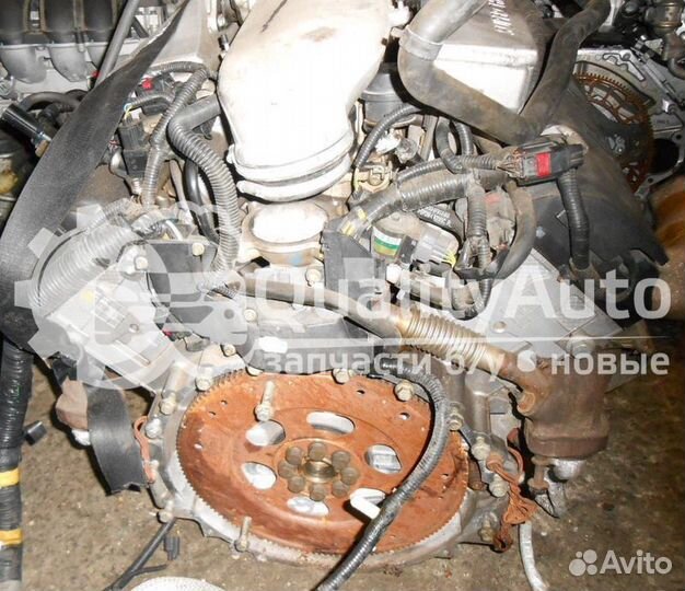 Двигатель Jaguar XK 4.2 л