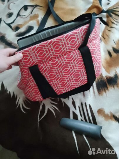 Одежда для маленьких собак