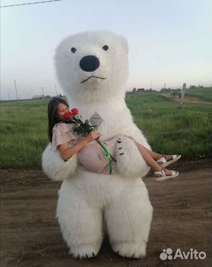 Танцующие Мишки, зайка на ваш праздник