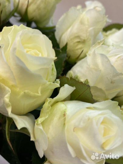 Букет из 15 роз