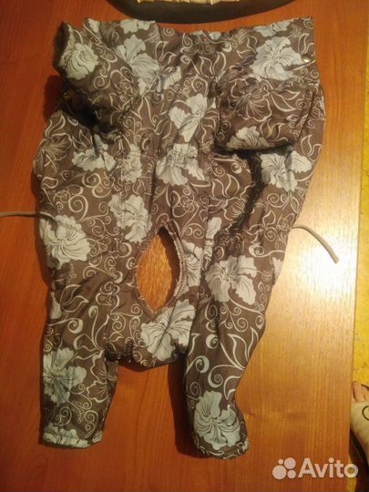 Одежда для животных