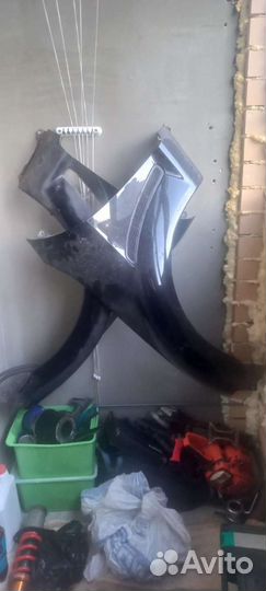 Передние крылья