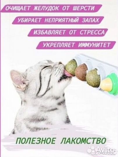 Кошачья мята Лакомство для кошек