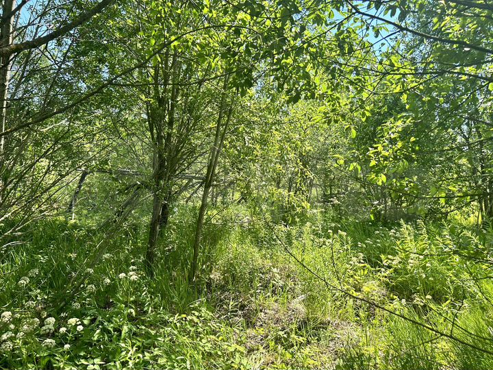 Участок 7 сот. (СНТ, ДНП)