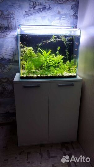 Аквариум