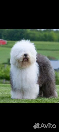 Крутые парни