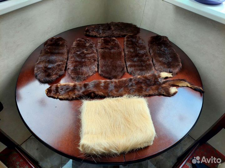 Шкурки нутрии