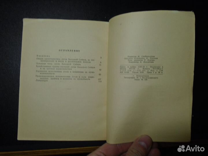 Глуздаков Луга Западной Сибири (Новосибирск, 1953)