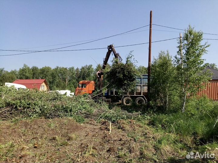 Спил деревьев / расчистка участков