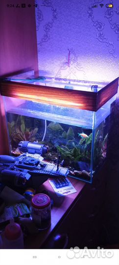 Аквариум