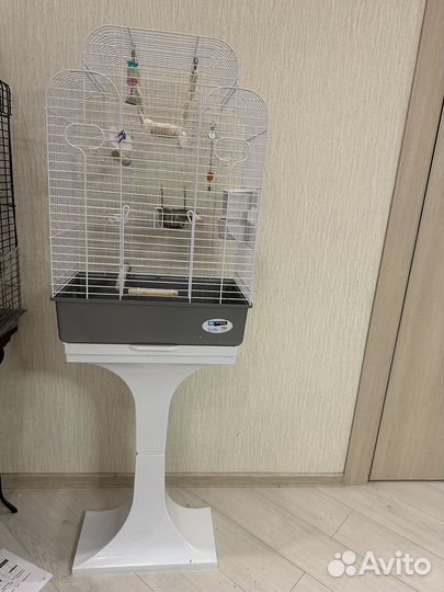 Попугай корелла с клеткой, ручной