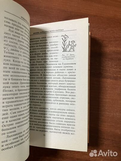 Роберто Боси. Лапландцы