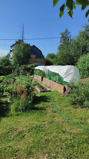 Дача 20 м² на участке 9 сот.