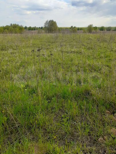 Участок 25 сот. (ИЖС)