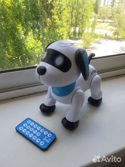 Робот пес