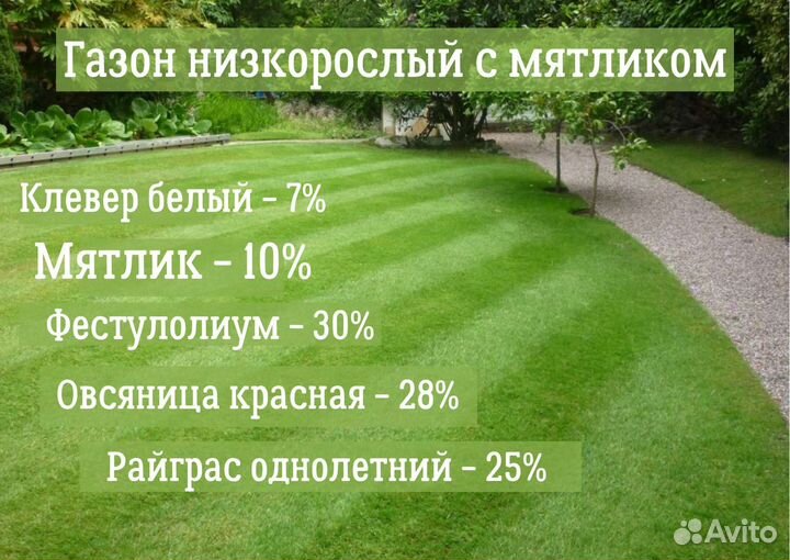 Семена Газон Низкорослый с Мятликом