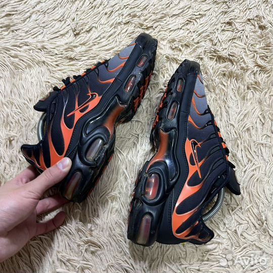 Nike air max tn dracula