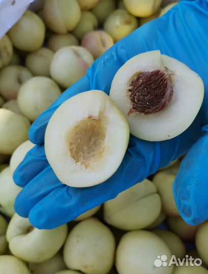 Нектарин свежий 