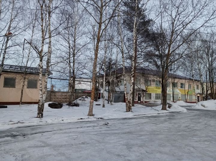 Свободного назначения, 3650 м²