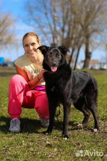 Берту сдали в приют как ненужную вещь