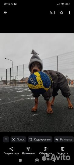 Комбенизон зимний