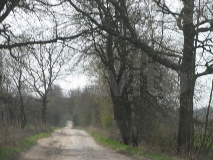 Участок 1,69 га (СНТ, ДНП)