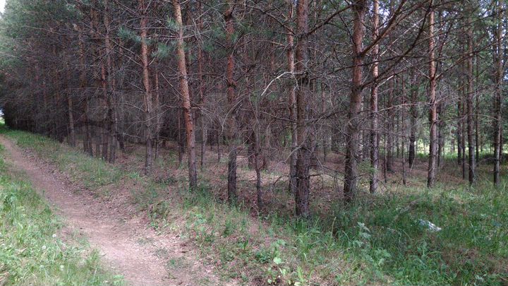 Участок 76 сот. (ИЖС)