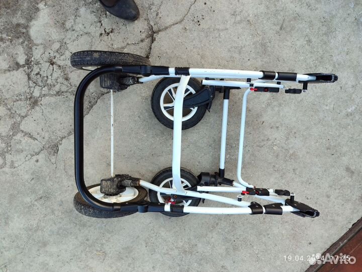 Коляска рико modus