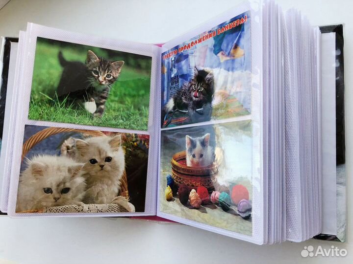 Коллекция карманных календариков с кошками, 170 шт