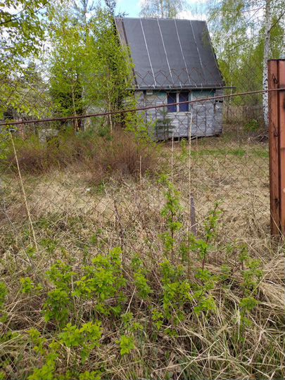 Участок 6 сот. (СНТ, ДНП)