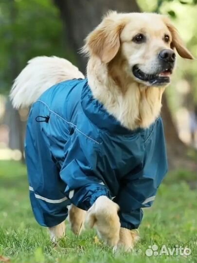 Комбинезон для собак дождевик самец 55М
