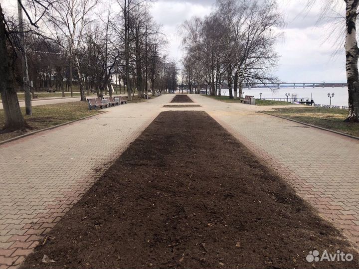 Земля плодородная Чернозем Торф Грунт растительный