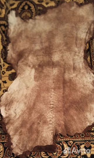 Шкура овчинная