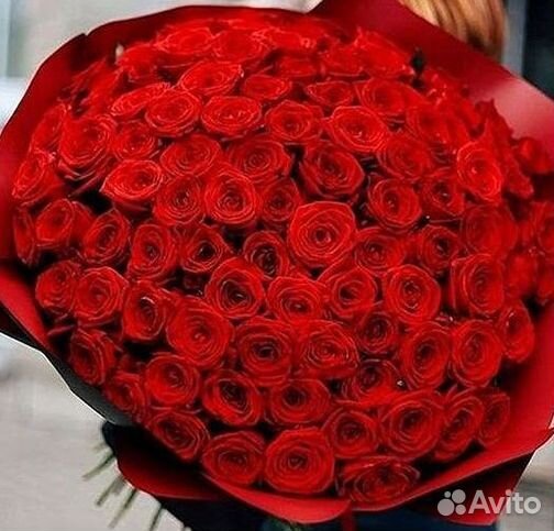 Высокие розы Гигантские розы 110