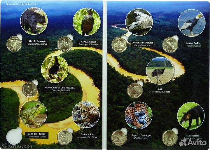 Набор монет Перу 1 соль красная книга в альбоме