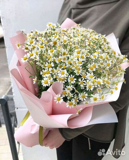 Букеты ромашек